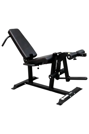 Body Iron Leg Extension & Prone Curl Machine