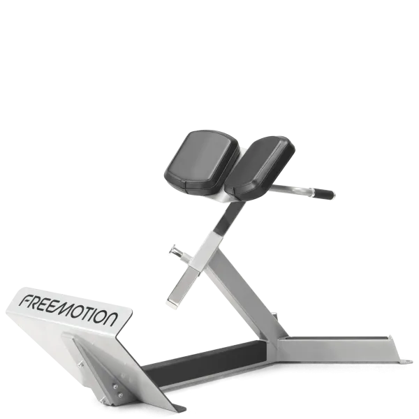 FreeMotion EF206 45 Degree Back Extension