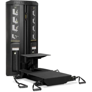 FreeMotion GD504 Genesis DS Lift/Step