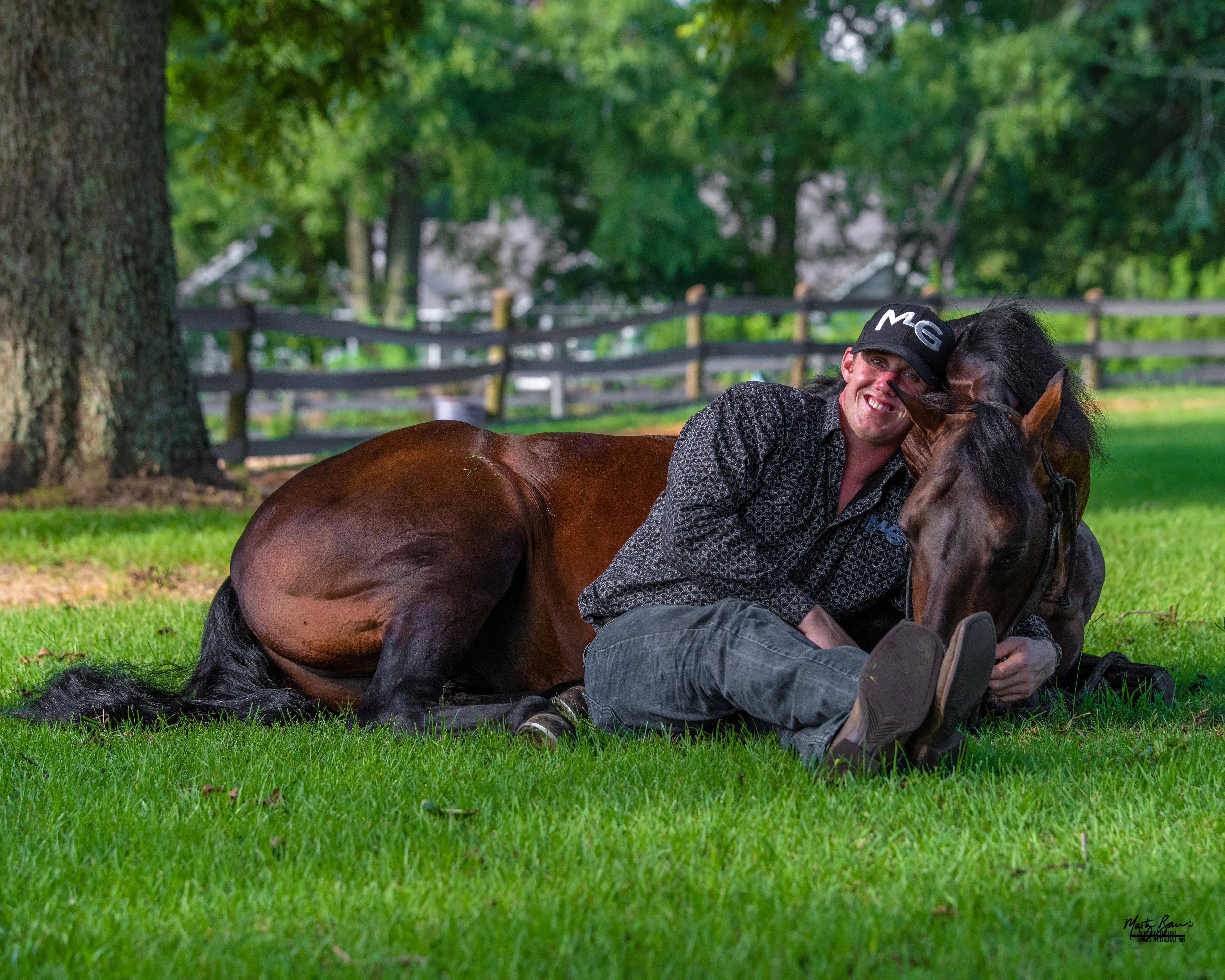 Horse Training