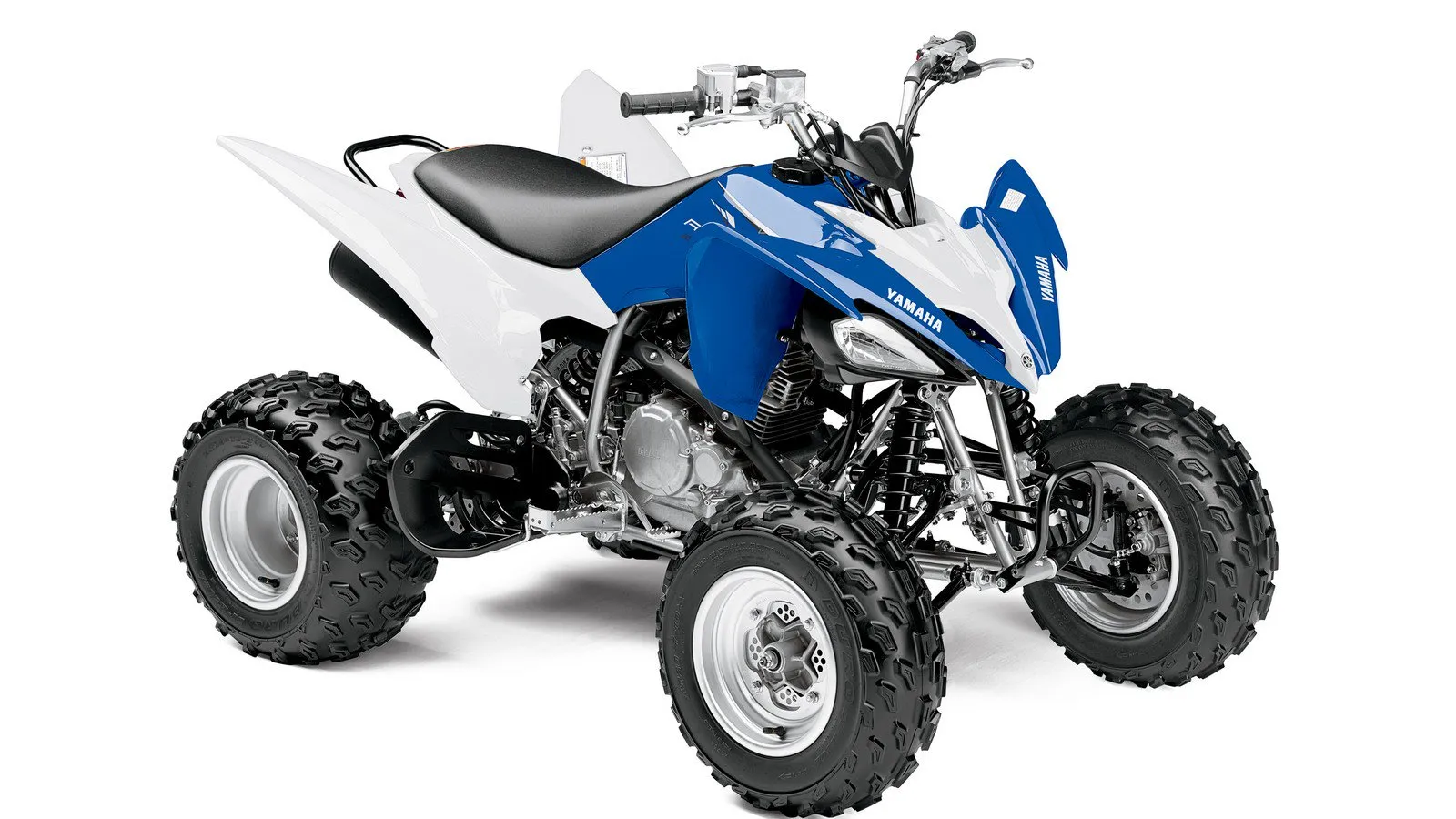 Yamaha Raptor 250 Motocross/Desert Lower Left A-Arm